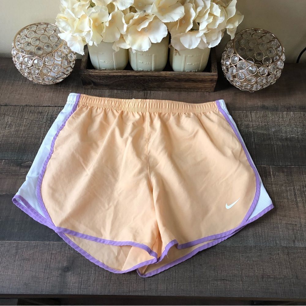 Nike Shorts Size L